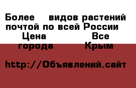 Более200 видов растений почтой по всей России › Цена ­ 100-500 - Все города  »    . Крым